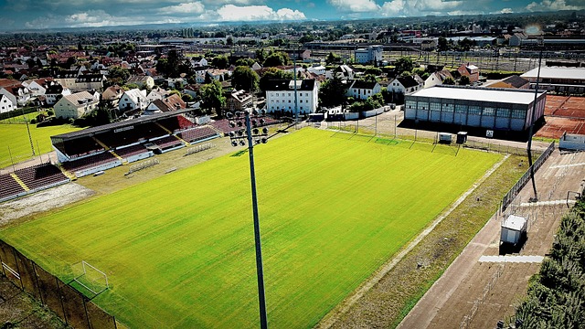 综观这些高 综观这些高