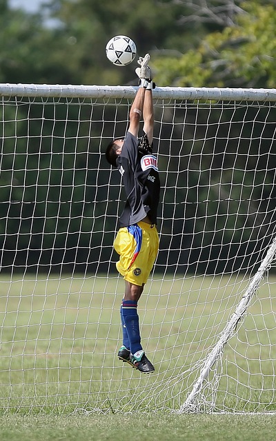 在这次柏林 在这次柏林