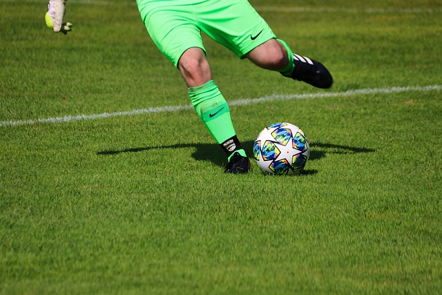 意志力与智 意志力与智